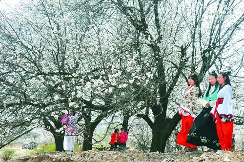 太阳集团2007 光伏电站实景